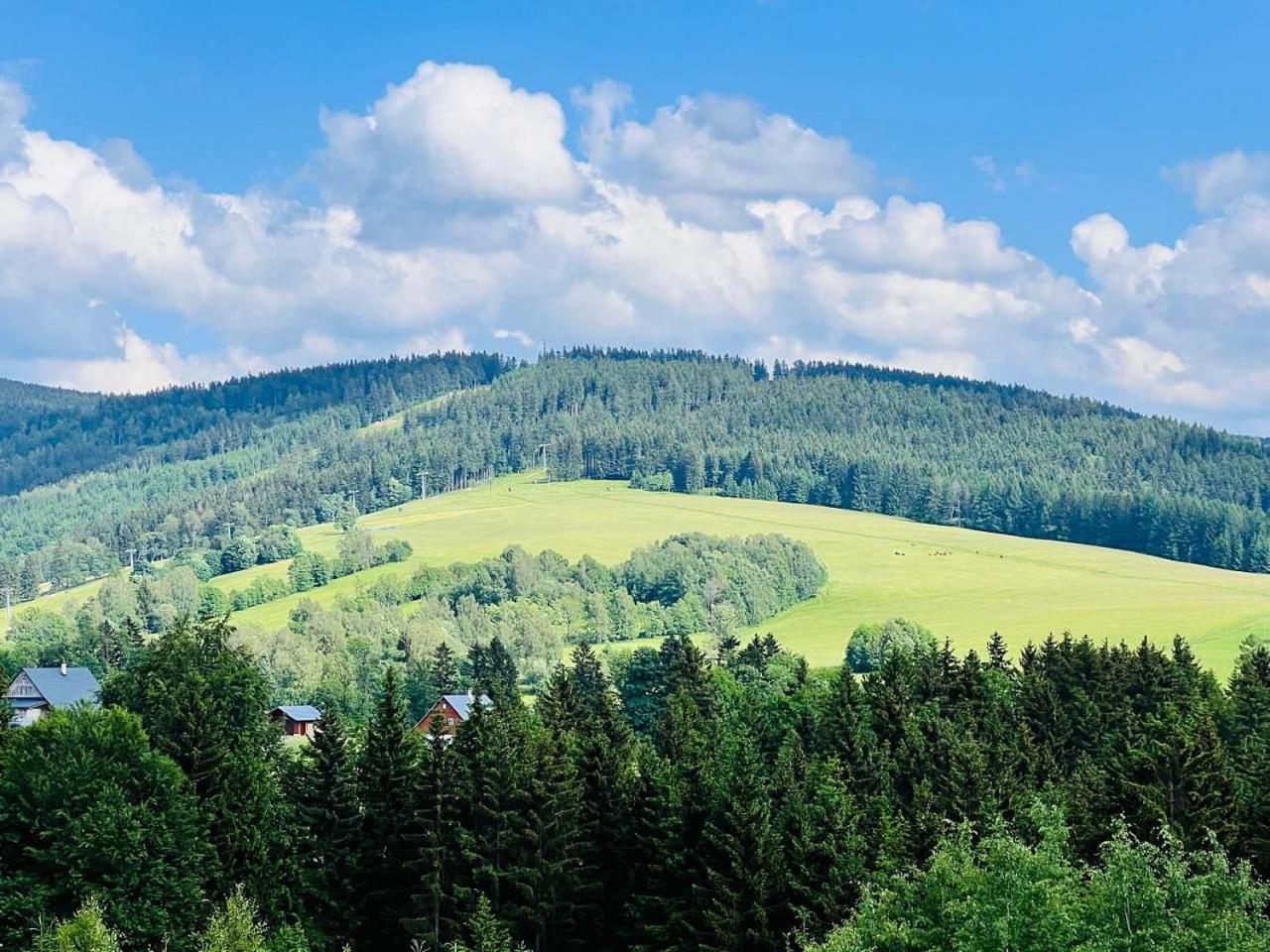 Chalupa Chriby Destne v Orlickych horach Kültér fotó